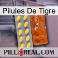 Tiger Pills 42